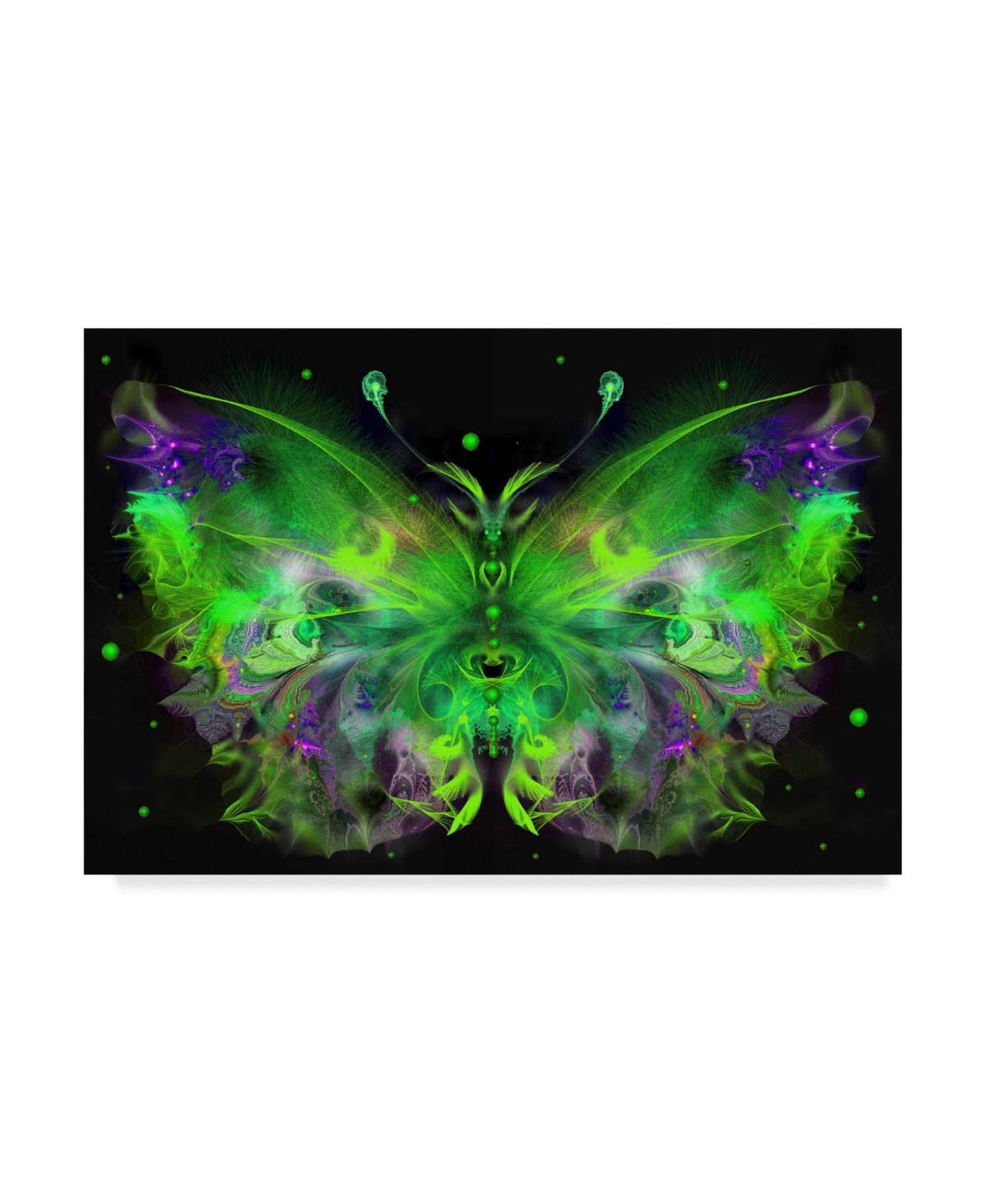 Canvas Art D2197