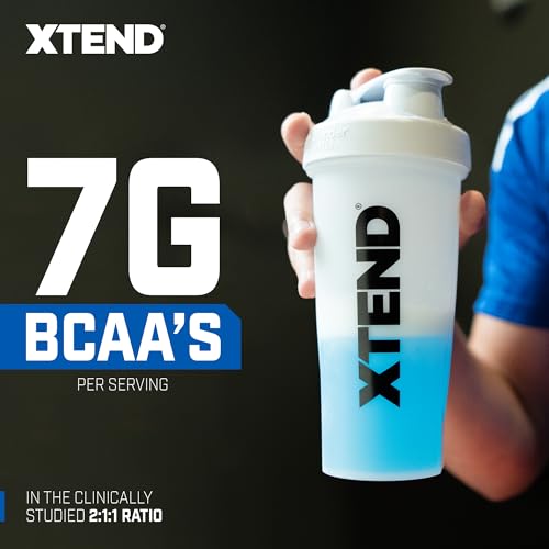 Blue Raspberry Ice BCAA Powder with Electrolytes - 30 Servings V171244