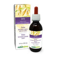 Oats Alcohol-free Tincture 4 fl oz Liquid Herbal Supplement Vegan J7353