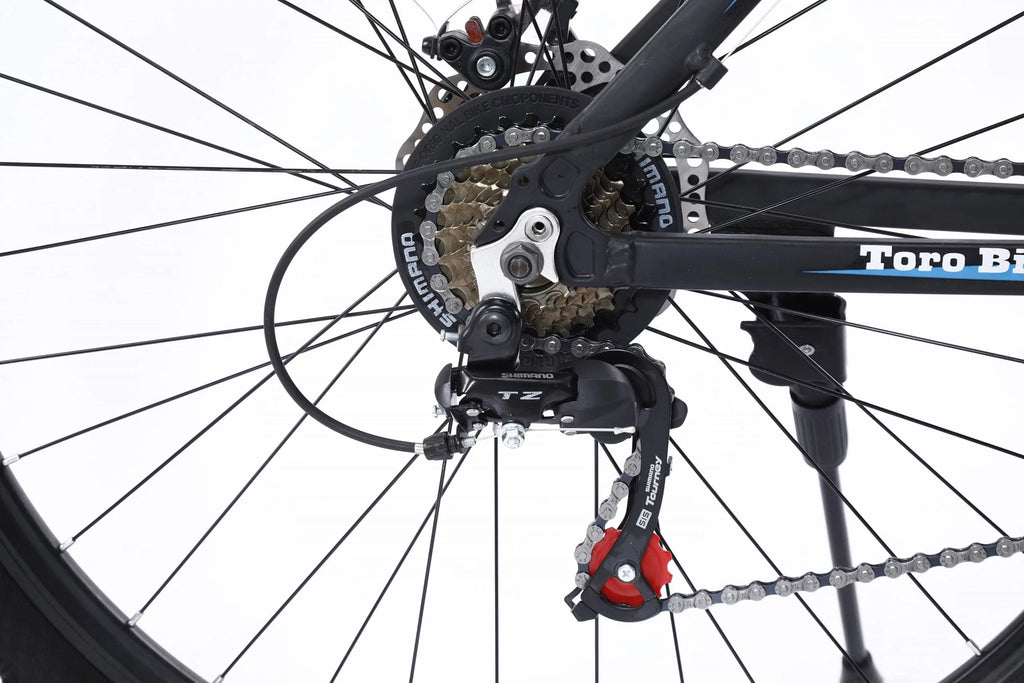 29-Inch Aluminum 24-Speed Road Bike E4139