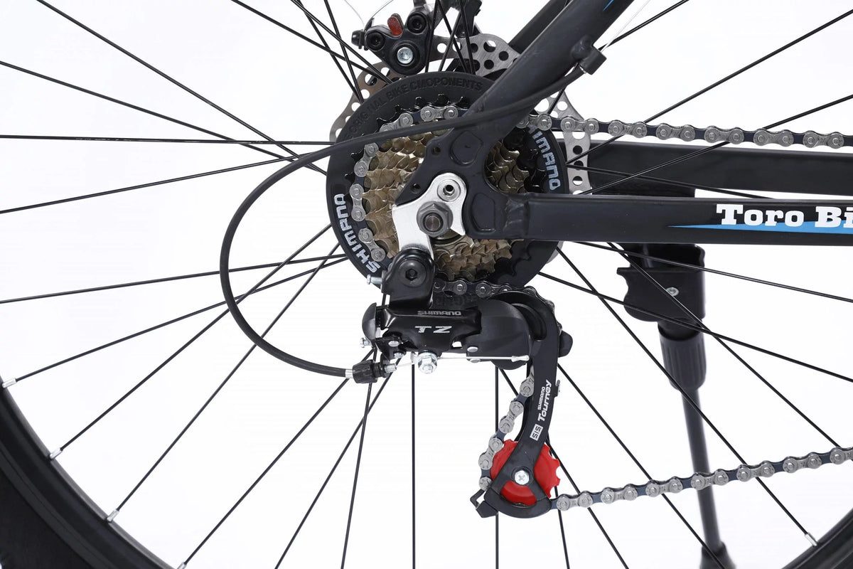 29-Inch Aluminum 24-Speed Road Bike E4139