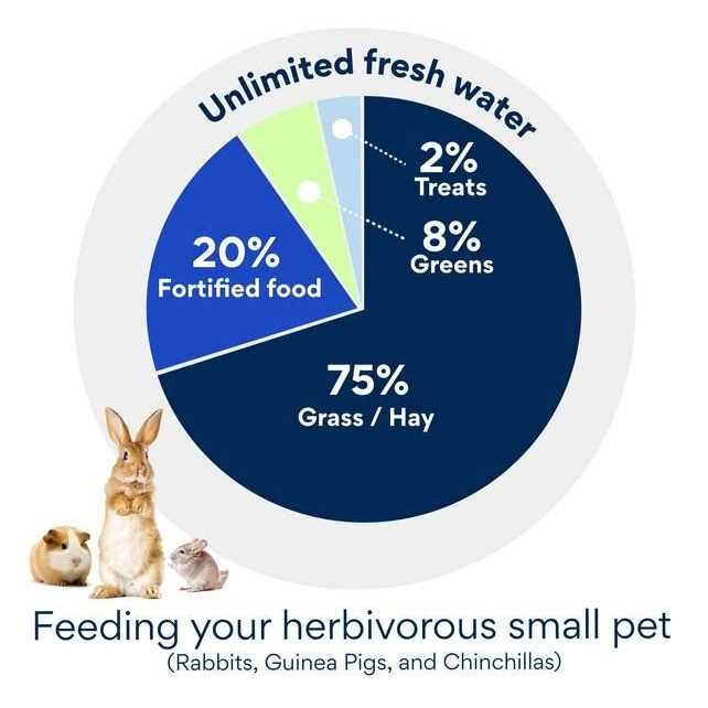 Grain-Free Rabbit Food Y680538