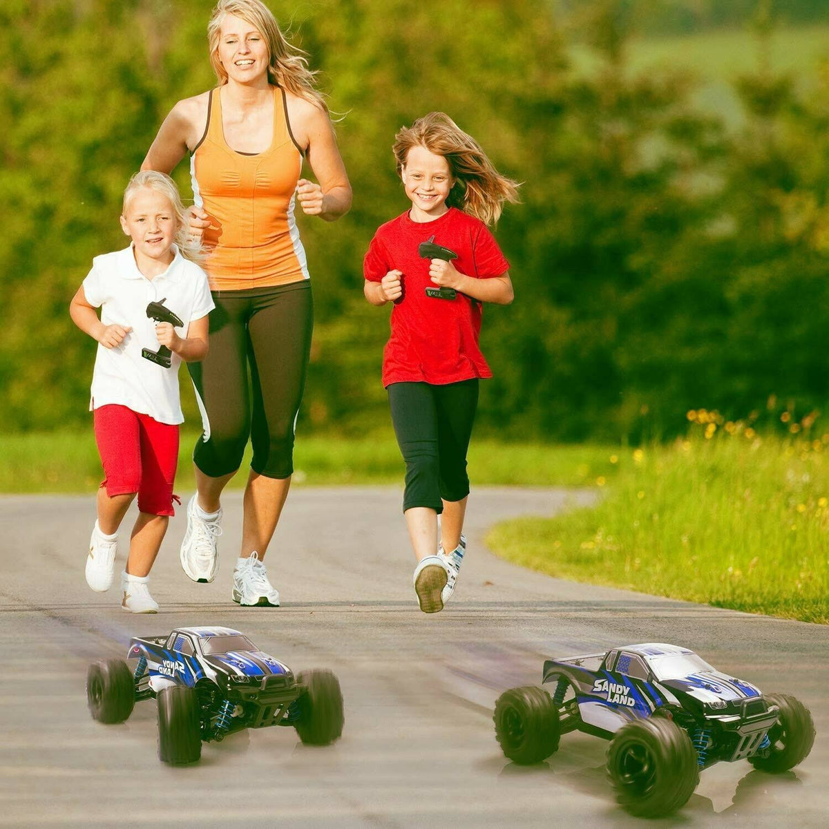 Remote Control Car U711652