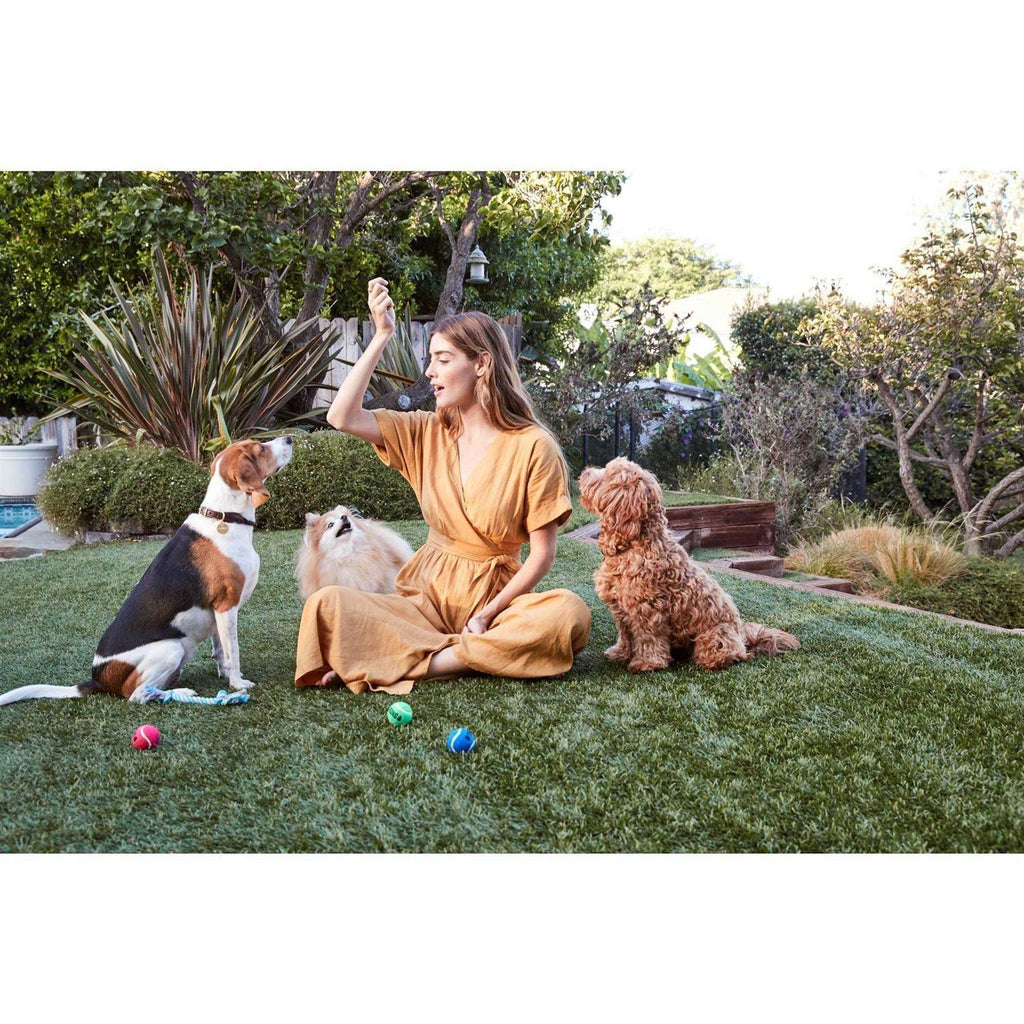 All Natural Chicken Jerky Dog Treats S450627