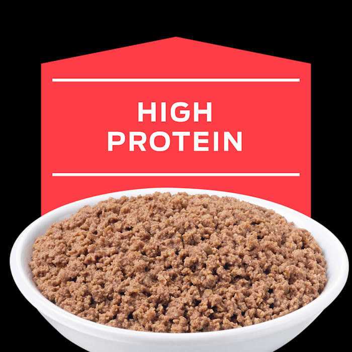 Cat Food 5.5 Oz. Can A98289