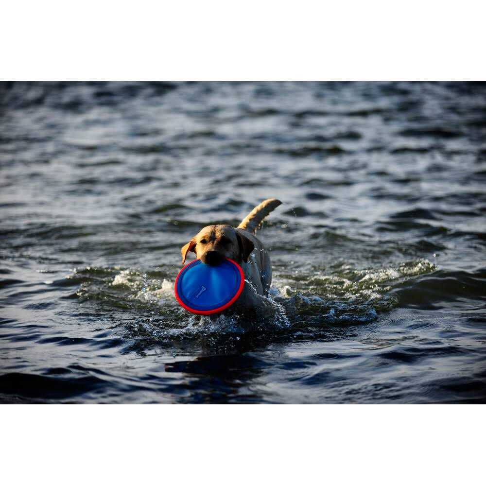 Dog Toy P189