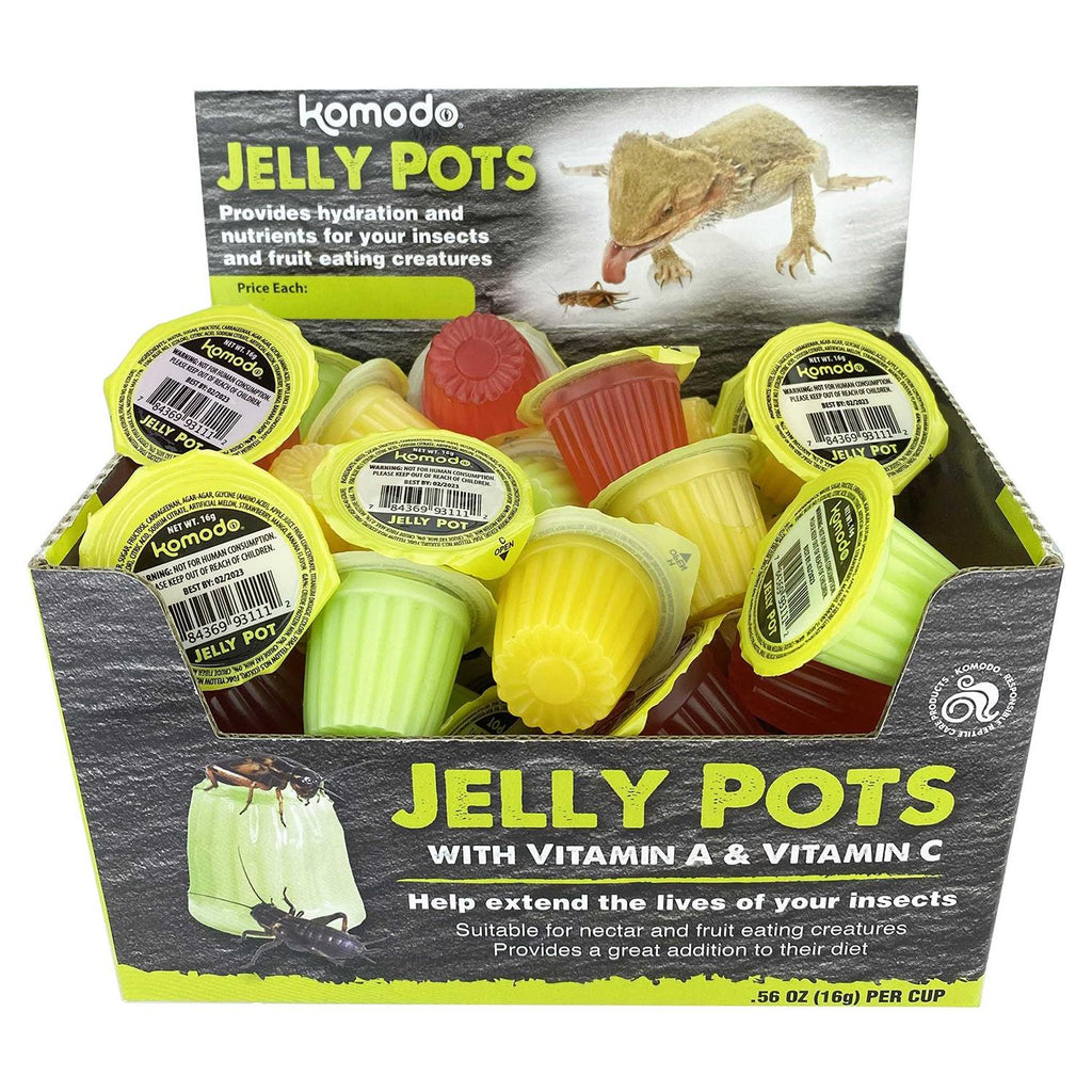 Fruit Jelly Pots Insect Food F553