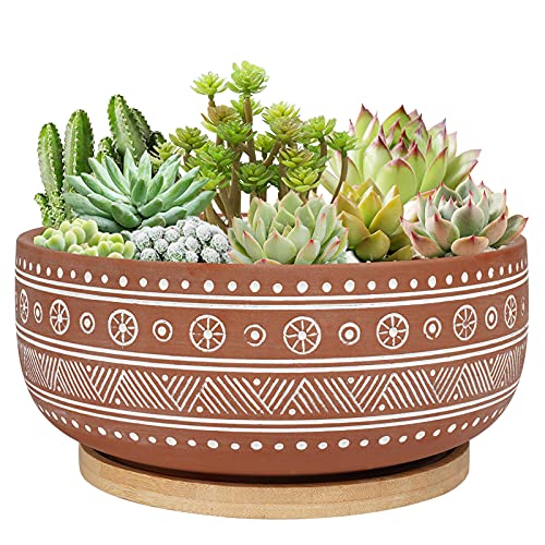8 Inch Terracotta Succulent Planter Pot with Drainage Hole and Bamboo Tray D695