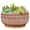 8 Inch Terracotta Succulent Planter Pot with Drainage Hole and Bamboo Tray D695