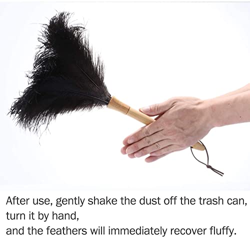 Black 16" 2Pieces Ostrich Feather Duster with Wooden Handle O403