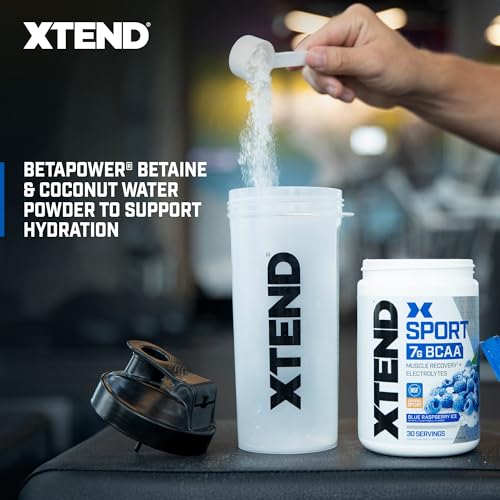 Blue Raspberry Ice BCAA Powder with Electrolytes - 30 Servings V171244
