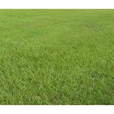 10 lbs. Lawn Grass Seed E99140