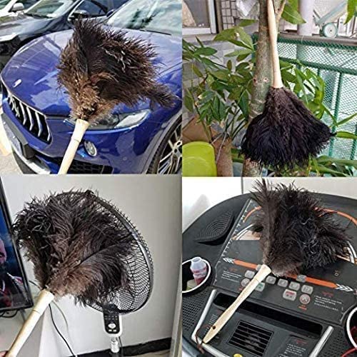 Black 16" 2Pieces Ostrich Feather Duster with Wooden Handle O403