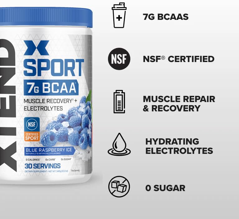 Blue Raspberry Ice BCAA Powder with Electrolytes - 30 Servings V171244