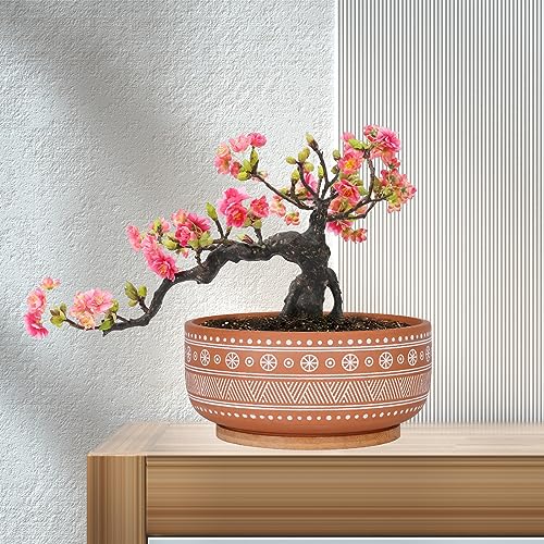 8 Inch Terracotta Succulent Planter Pot with Drainage Hole and Bamboo Tray D695