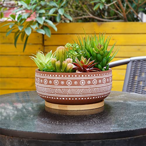 8 Inch Terracotta Succulent Planter Pot with Drainage Hole and Bamboo Tray D695