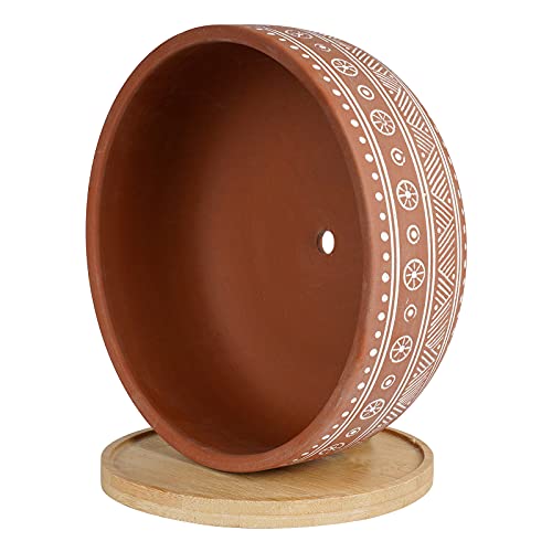 8 Inch Terracotta Succulent Planter Pot with Drainage Hole and Bamboo Tray D695