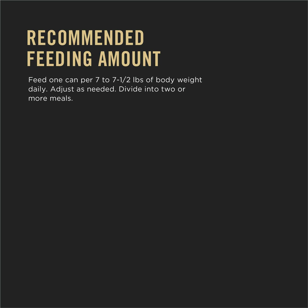 Wet Cat Food U485