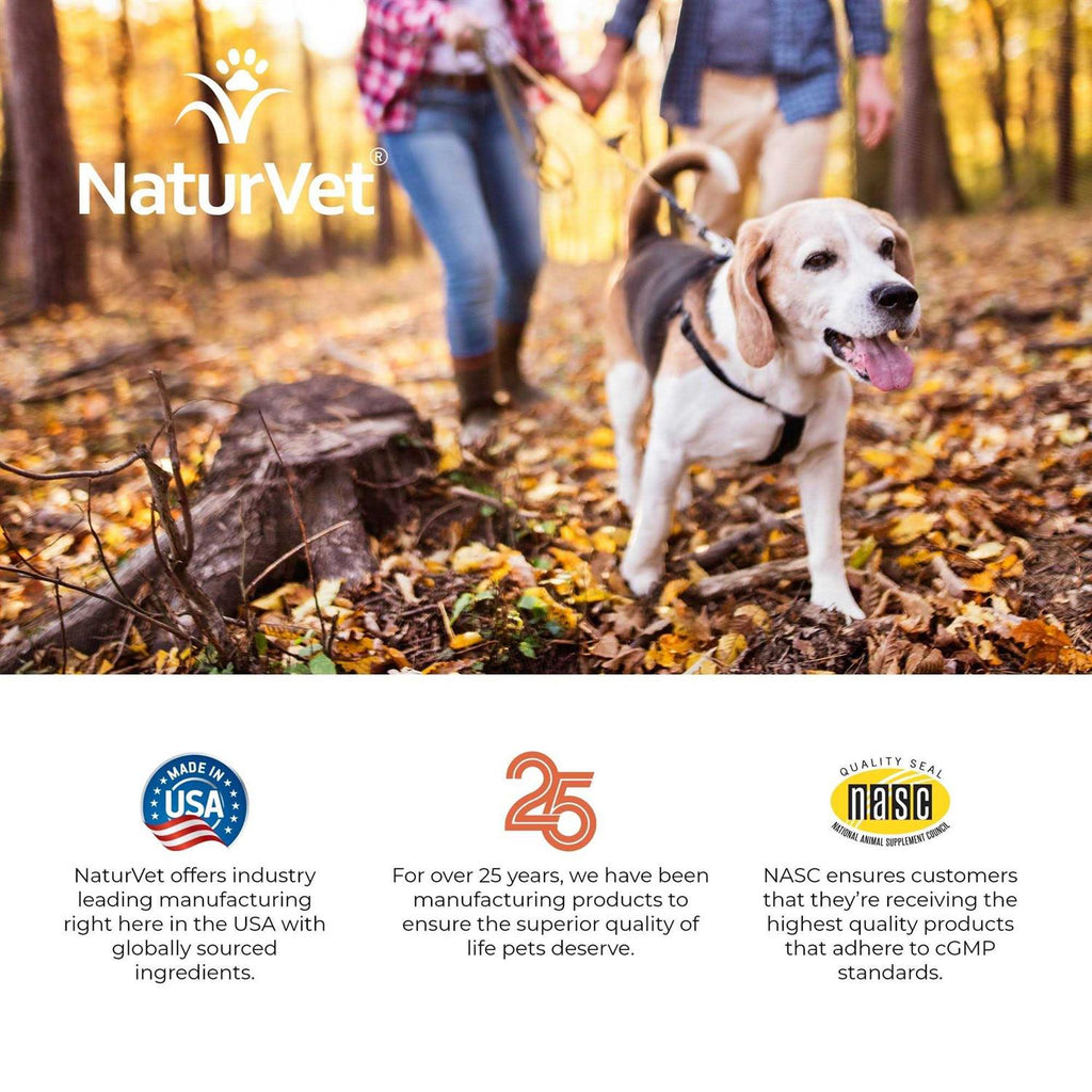 Senior Advanced Joint Health Soft Chews E904519
