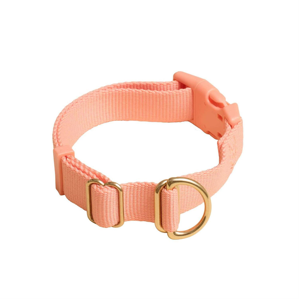 Standard Dog Collar I563