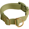 Standard Dog Collar I563