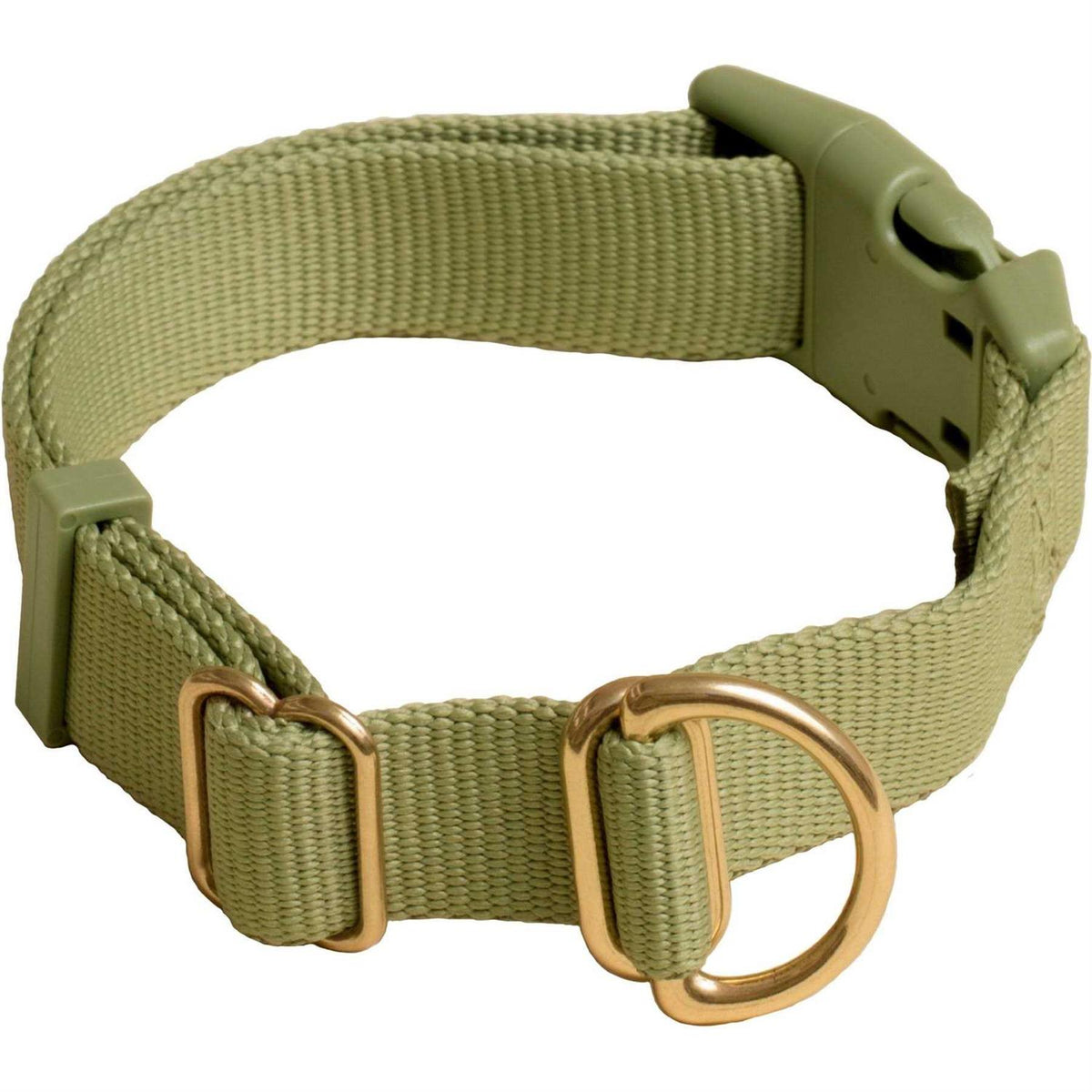Standard Dog Collar I563