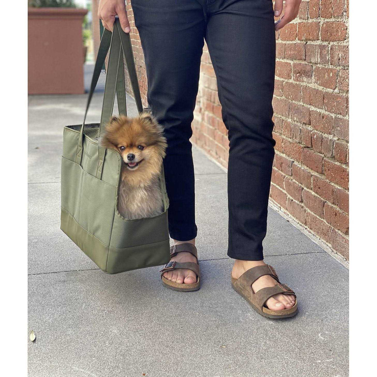 Pet Tote Bag for Small Dogs and Cats J200233