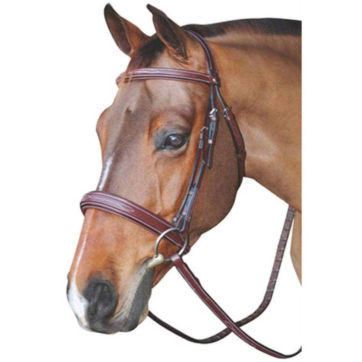 Mono Crown Bridle with Padded Wide Noseband X253912