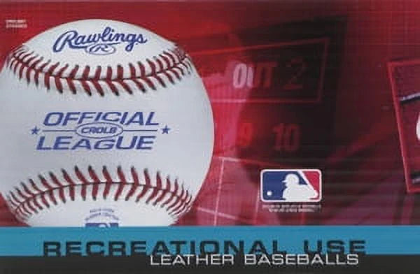 Youth Baseballs 12 Pack R481386