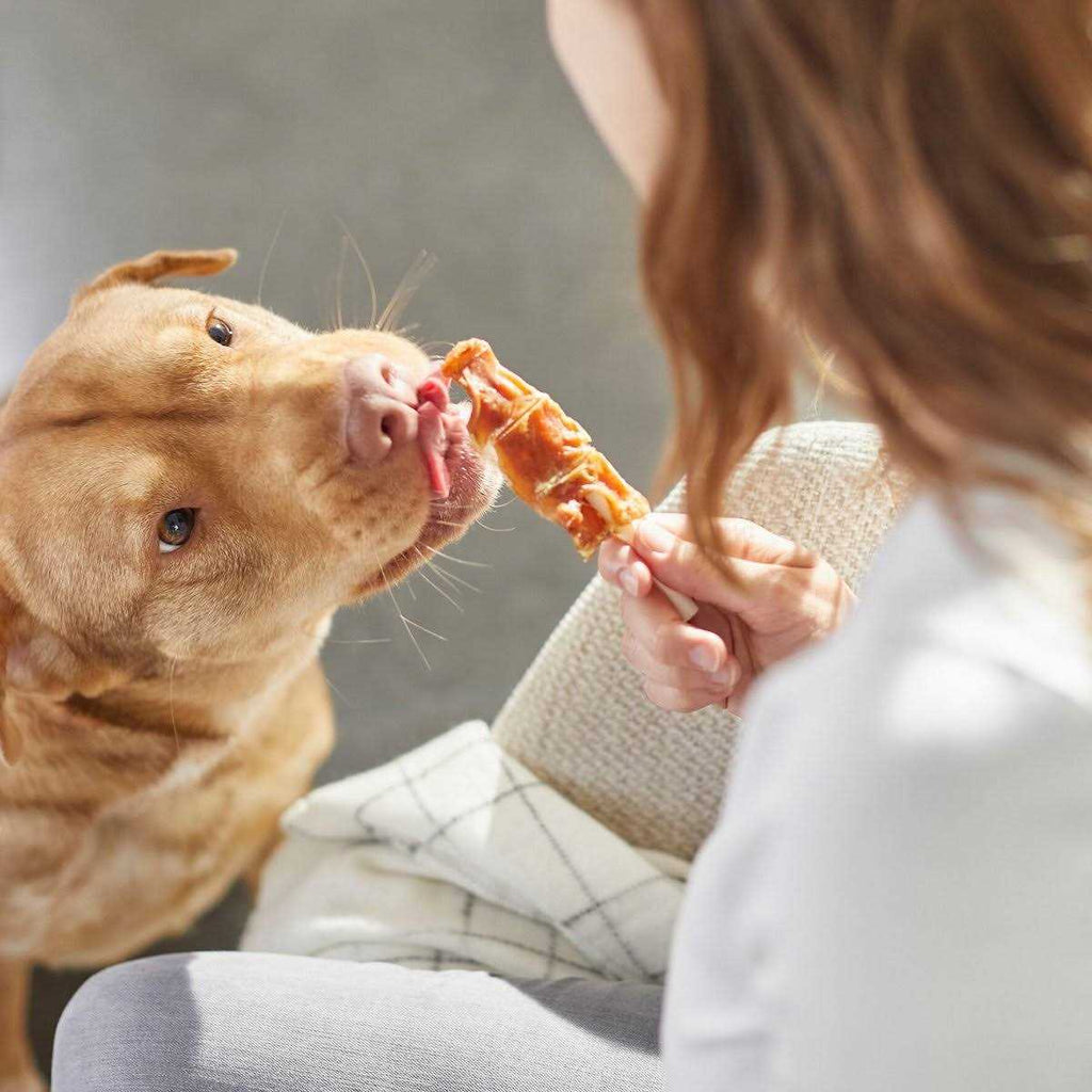Chicken Wrapped Rawhide Dog Treats L180