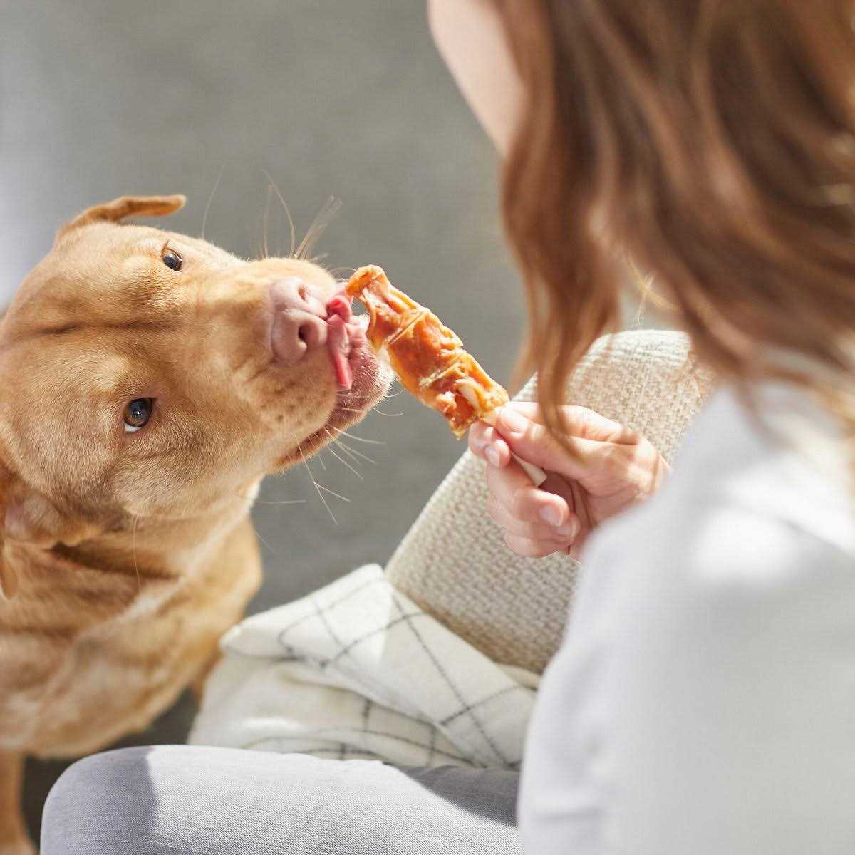 Chicken Wrapped Rawhide Dog Treats L180