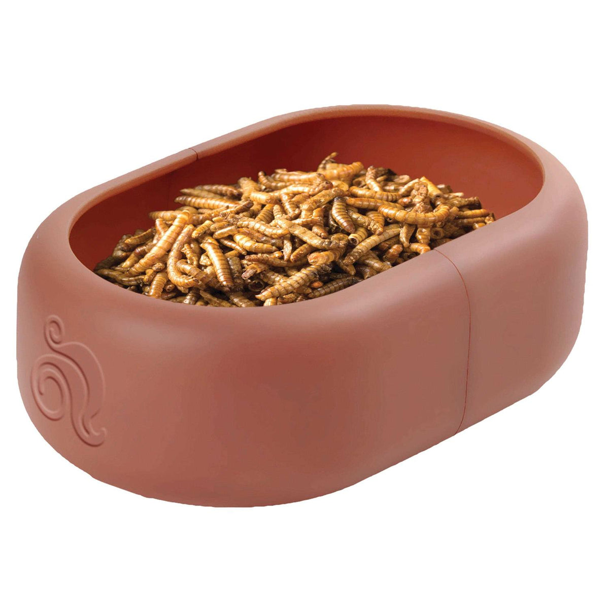 Smart Mealworm Reptile Feeding Dish B788595