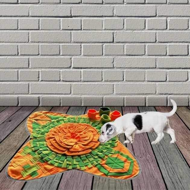 Interactive Dog Feeding Mat T909