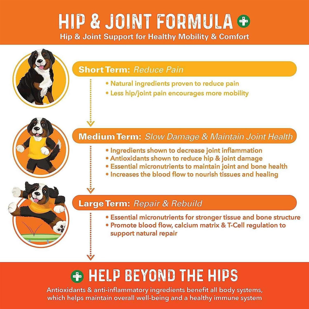 Daily Dog Hip and Joint Supplement N792