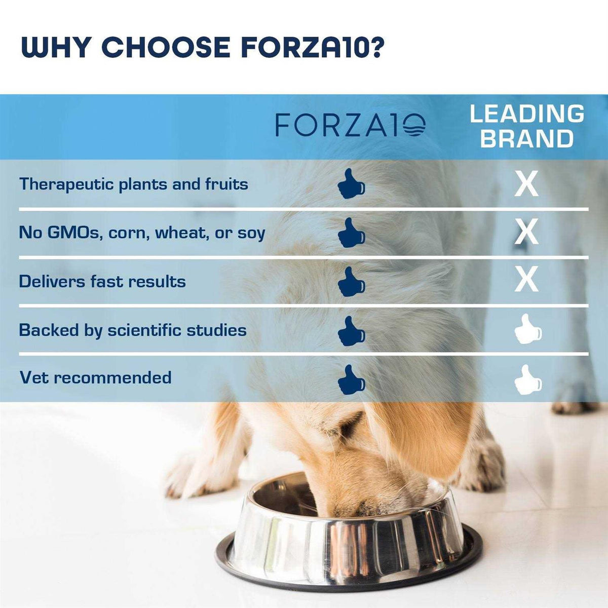 Grain-Free Dry Dog Food K8211