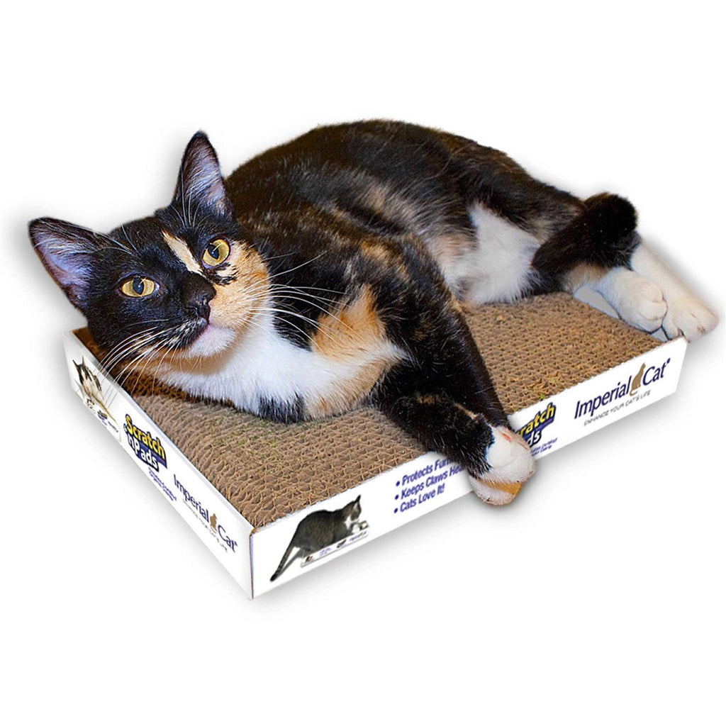 Cat Scratch Pad E35328