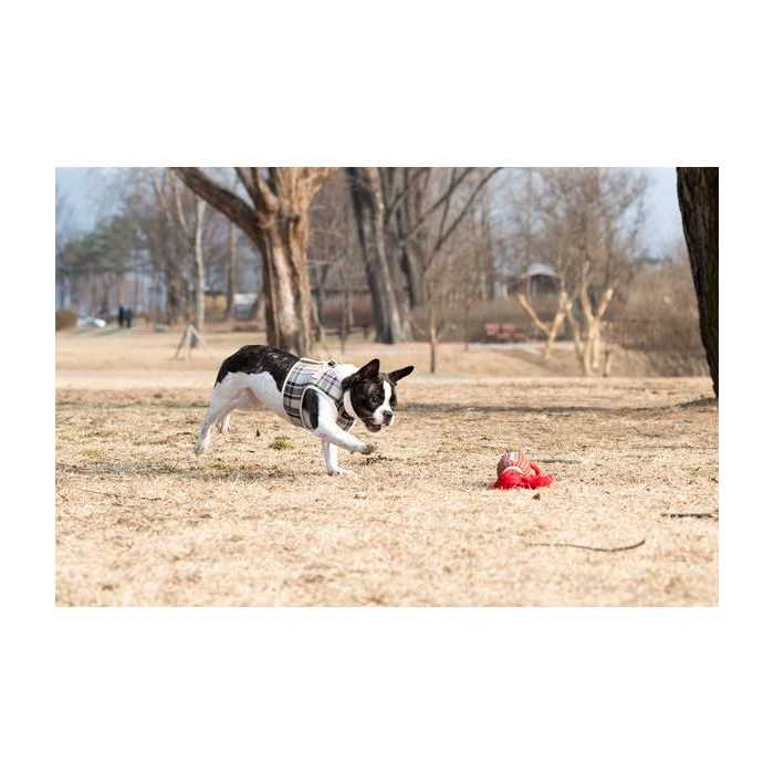 Pet Harness G15772