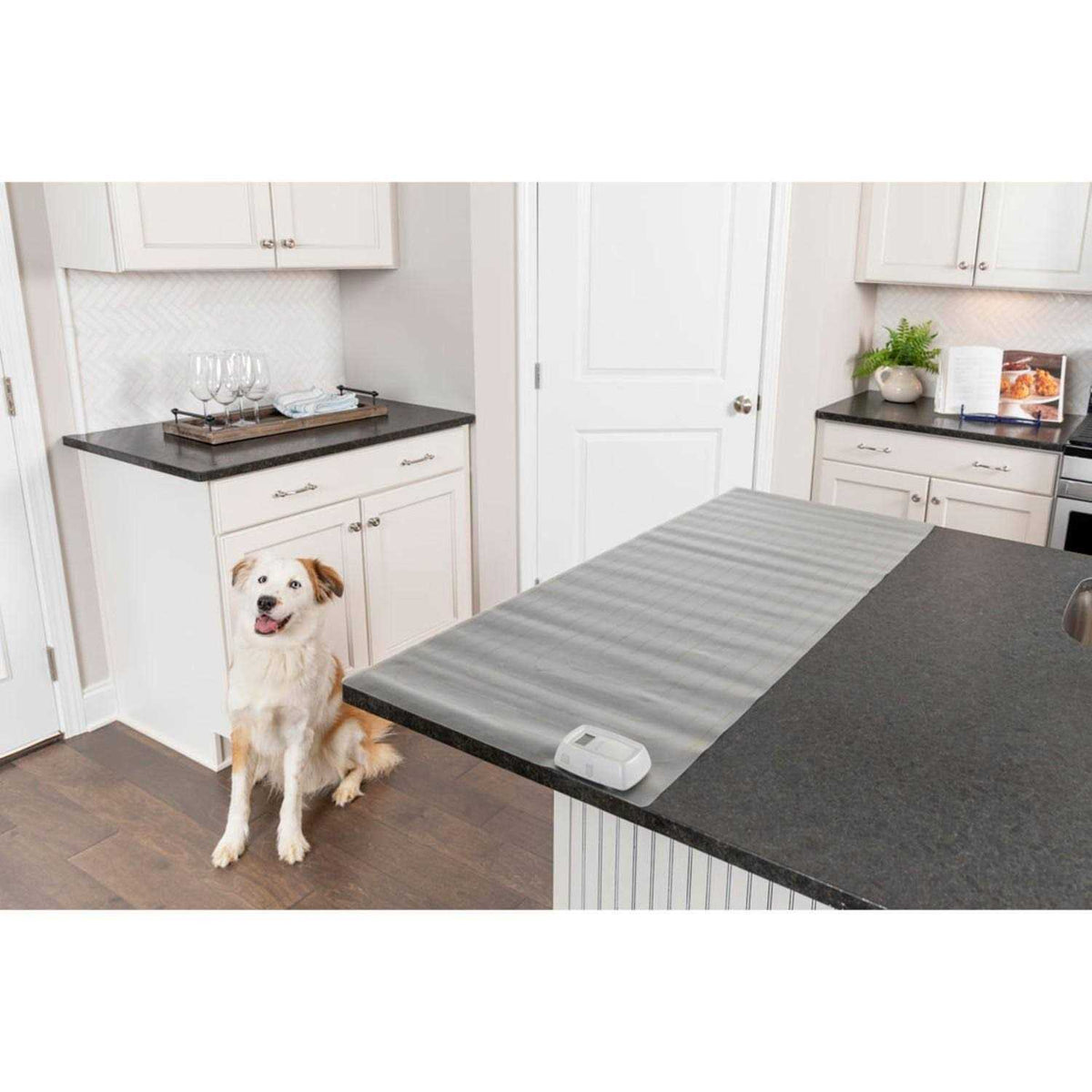 Indoor Training Mat L652