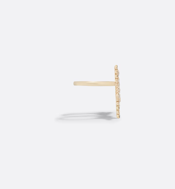 Double Ring Q53810