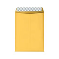 9 x 12 Brown Kraft Catalog Envelopes, 250/Box C447