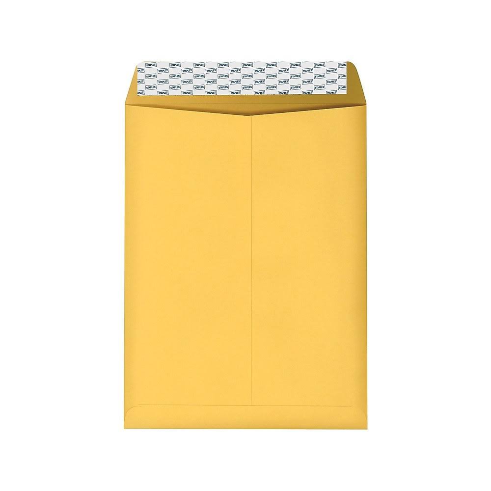 9 x 12 Brown Kraft Catalog Envelopes, 250/Box C447