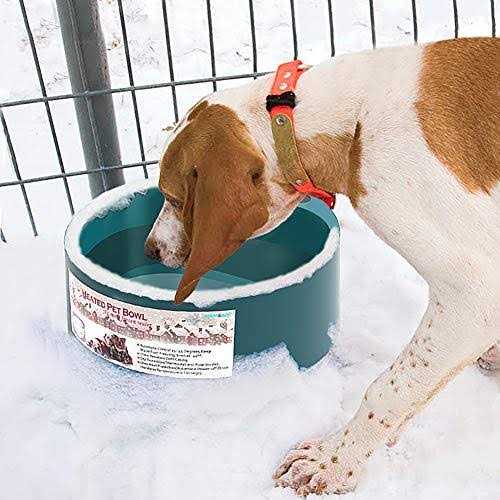 Heated Water Bowl X556913